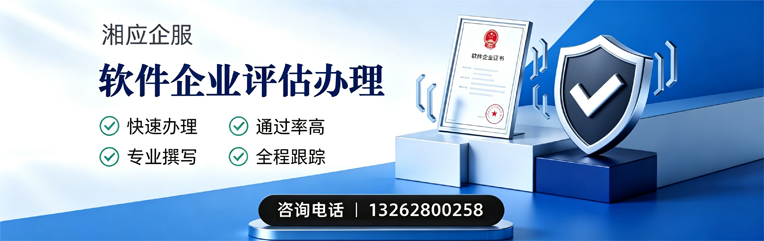 衡水软件企业评估申报服务