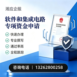 衡水软件和集成电路专项资金申报服务