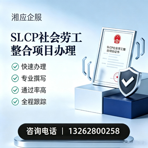 衡水SLCP社会劳工整合项目申报服务