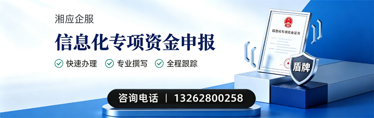 衡水信息化专项资金申报服务
