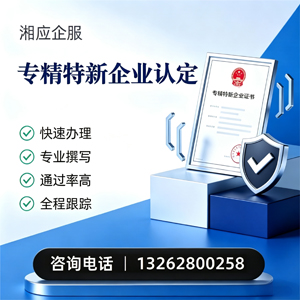 衡水专精特新企业申报服务