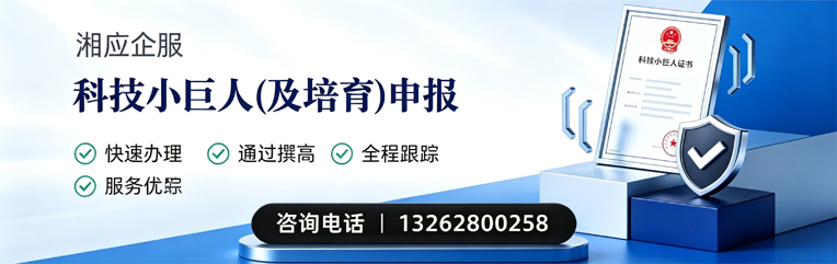 衡水科技小巨人及培育企业申报服务