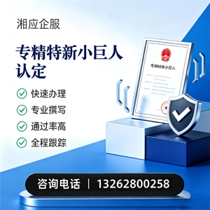 衡水专精特新小巨人申报服务