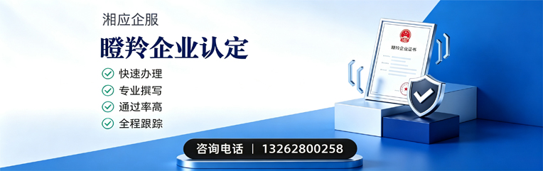 衡水瞪羚企业认定申报服务
