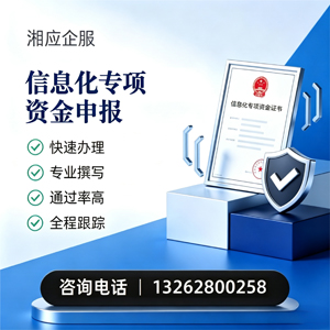 衡水信息化专项资金申报服务