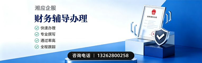 衡水财务辅导申请服务