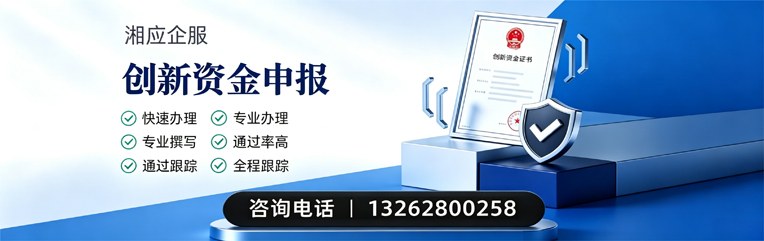 衡水创新资金申报服务