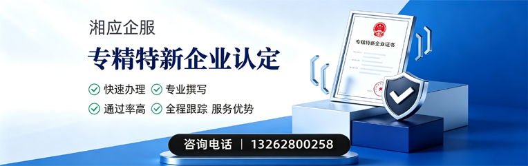 衡水专精特新企业申报服务