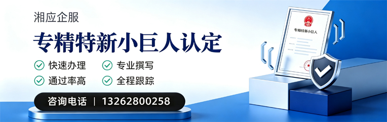 衡水专精特新小巨人申报服务